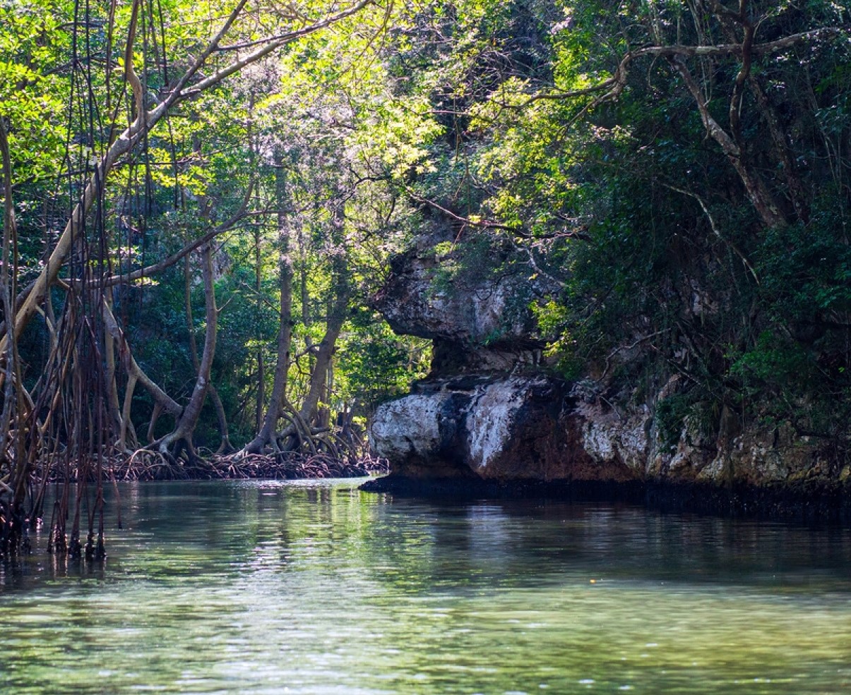 los haitises 4